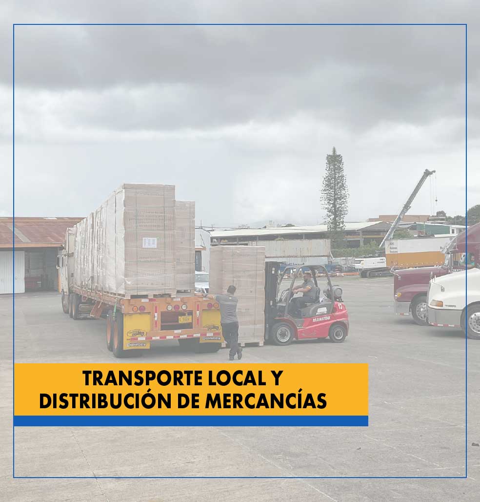 TRANSPORTE Y DISTRIBUCIÓN